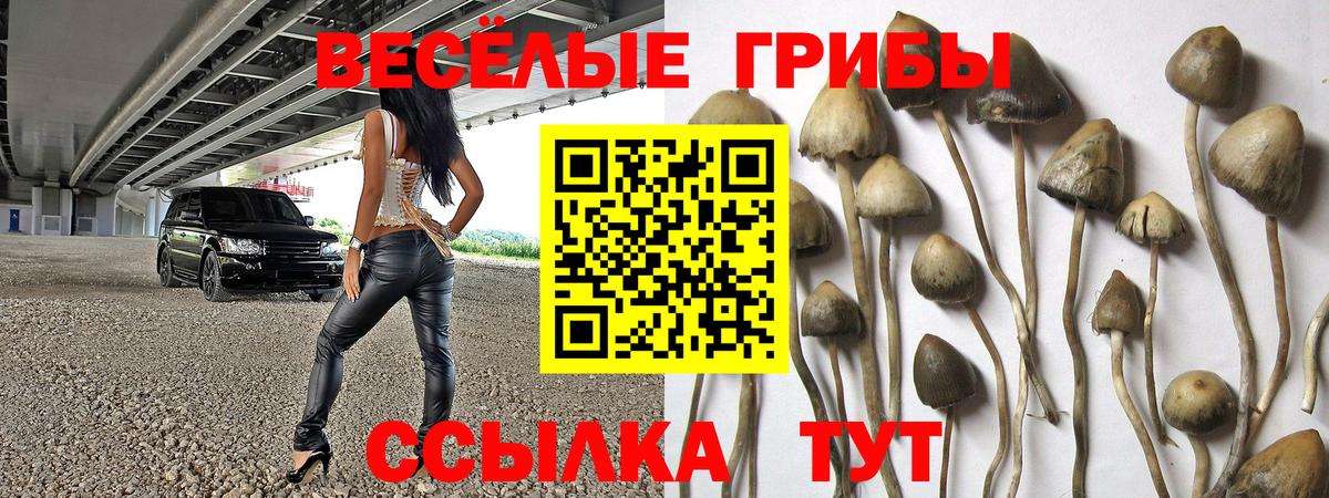 Полевской  Псилоцибиновые грибы Cubensis  Псилоцибиновые грибы Magic Shrooms  Вход с VPN 