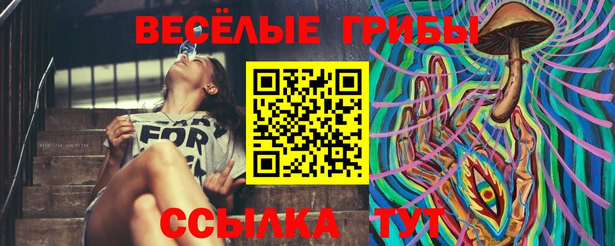 Псилоцибиновые грибы прущие грибы Полевской